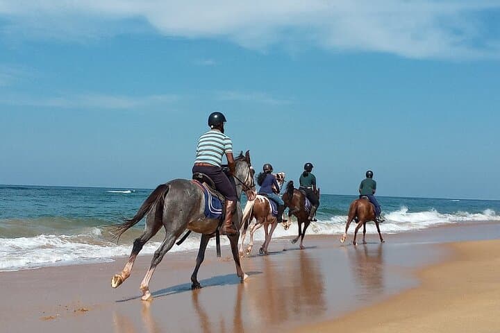 Half-Day Horseback Riding on Kalpitiya Beach — Sunset Marwari Horse Experience photo 3