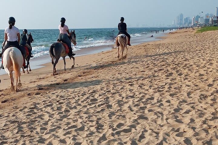 Half-Day Horseback Riding on Kalpitiya Beach — Sunset Marwari Horse Experience photo 1
