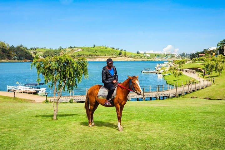 Horse Riding in Nuwara Eliya: 4-Hour Tea-Estate Trail Ride photo 3