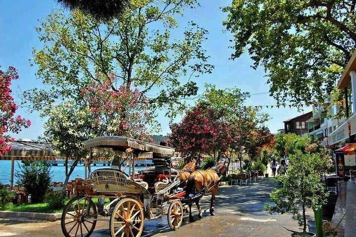 Princes Islands Day Cruise from Istanbul — Büyükada & Heybeliada with Lunch photo 1