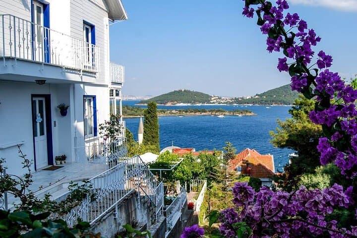 Princes Islands Day Cruise from Istanbul — Büyükada & Heybeliada with Lunch photo 3