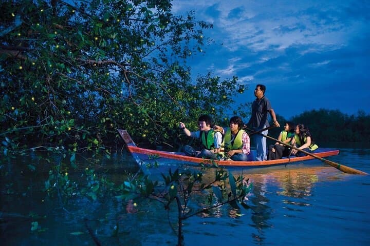 Private Kuala Selangor Firefly Cruise and Melawati Monkey Hill Tour photo 2