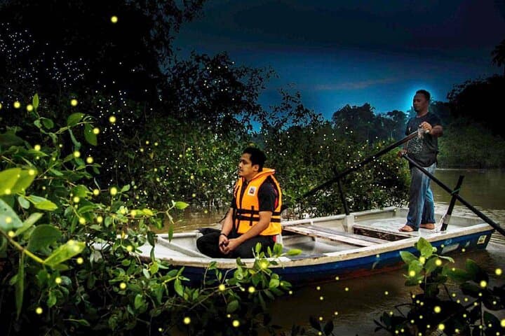 Private Kuala Selangor Firefly Cruise and Melawati Monkey Hill Tour
