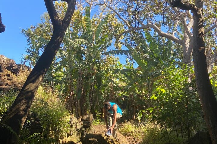 Rapa Nui Half-Day Private Tour: Ahu Akivi, Ana Te Pahu Caves & Puna Pau photo 6