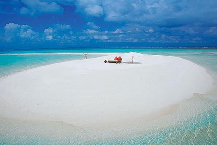 Prison Island & Nakupenda Sandbank — Full-Day Boat Trip from Stone Town photo 3