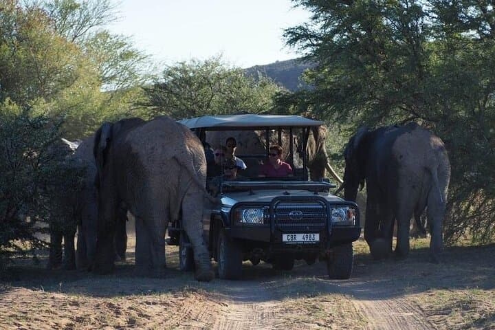 Sanbona 2-Day Safari from Cape Town — Overnight Game Drives & Big Five Experience photo 2