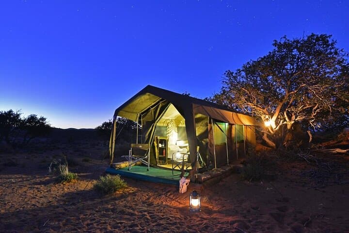 Sanbona 2-Day Safari from Cape Town — Overnight Game Drives & Big Five Experience photo 6
