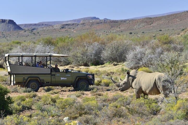 Sanbona 2-Day Safari from Cape Town — Overnight Game Drives & Big Five Experience
