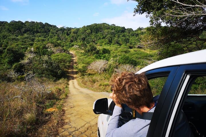 Addo Elephant Park Full-Day Photo Safari: Big 7 Wildlife Drive from Port Elizabeth photo 3