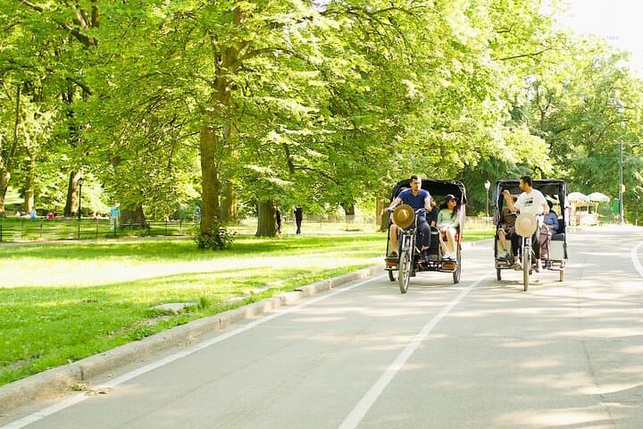 Central Park Private Pedicab Tour: Insider Guided Ride Through NYC's Iconic Greenspace