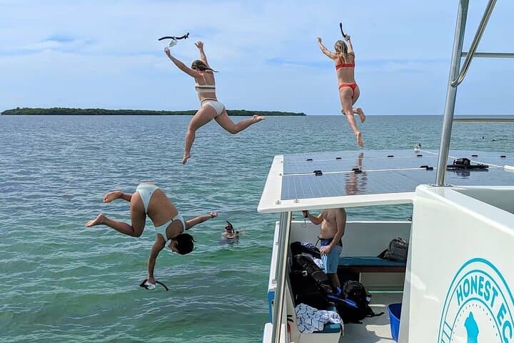 Key West Dolphin Watching and Guided Snorkeling on a Quiet Electric Catamaran photo 3