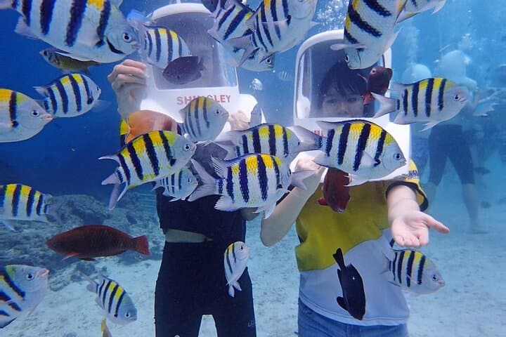 Boracay Helmet Diving: Walk the Seafloor in a Clear Helmet