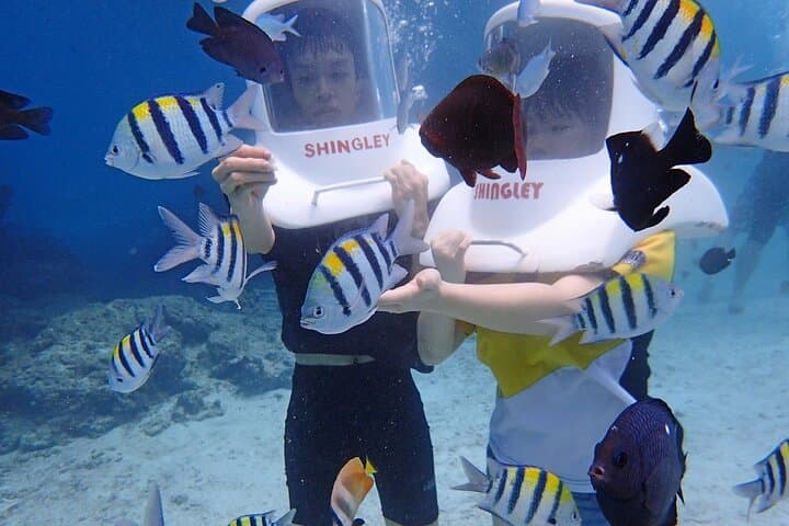 Boracay Helmet Diving: Walk the Seafloor in a Clear Helmet photo 4