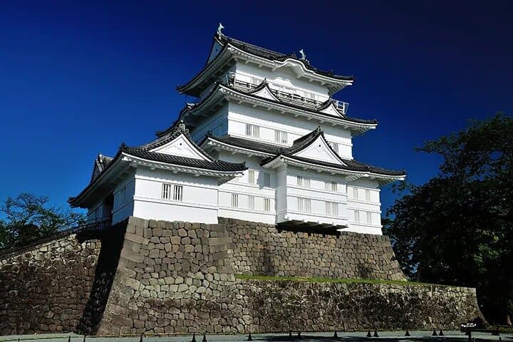 Hakone Onsen & Enoura Observatory: Private Full-Day Tour from Tokyo photo 5