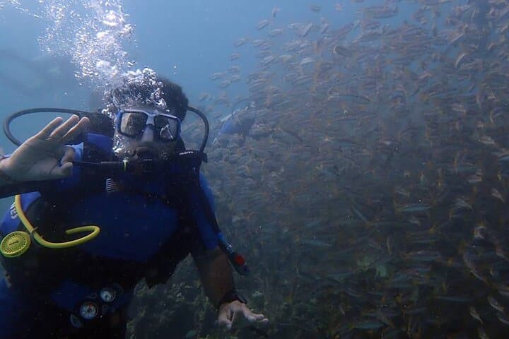 Kusadasi Scuba Diving: Two-Dive Aegean Boat Adventure with Local Experts photo 2