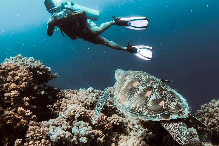 Kusadasi Scuba Diving: Two-Dive Aegean Boat Adventure with Local Experts photo 4