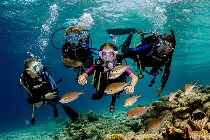 Marmaris Scuba Diving: Full-Day Two-Dive Boat Trip with Lunch