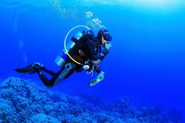 Bodrum Scuba Diving Tour with Free Hotel Transfer — Aegean Intro Dives photo 2