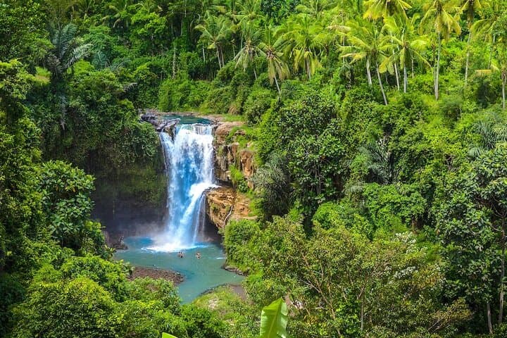 Ubud Day Tour: Monkey Forest, Jungle Swing, Rice Terraces & Tirta Empul photo 4