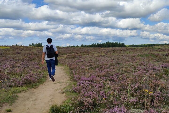 Half-Day Hiking Tour from Tallinn to Jägala Waterfall, Lakes & Bogs photo 4
