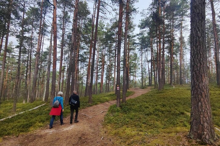 Half-Day Hiking Tour from Tallinn to Jägala Waterfall, Lakes & Bogs photo 6