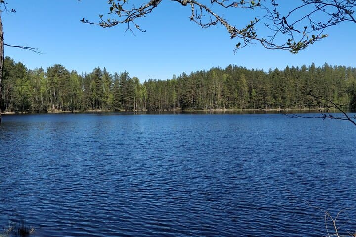 Half-Day Hiking Tour from Tallinn to Jägala Waterfall, Lakes & Bogs photo 5