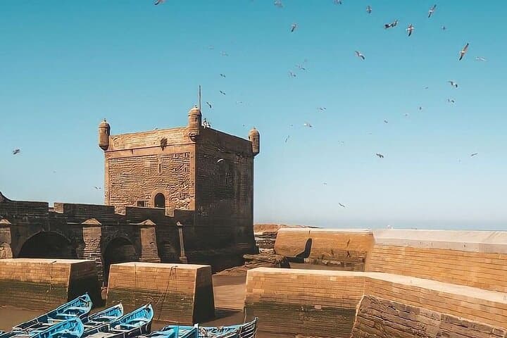 Marrakech to Essaouira Full-Day Excursion: Coast, Medina & Argan Cooperatives photo 6