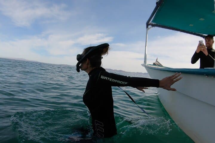 Swim with Whale Sharks in La Paz — Small-Group Marine Biologist Expedition photo 5