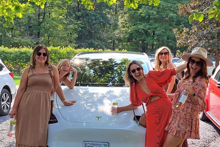 Charlottesville Tesla Wine Tours on Nelson 151: Private Wine, Brewery & Cidery Circuit photo 2
