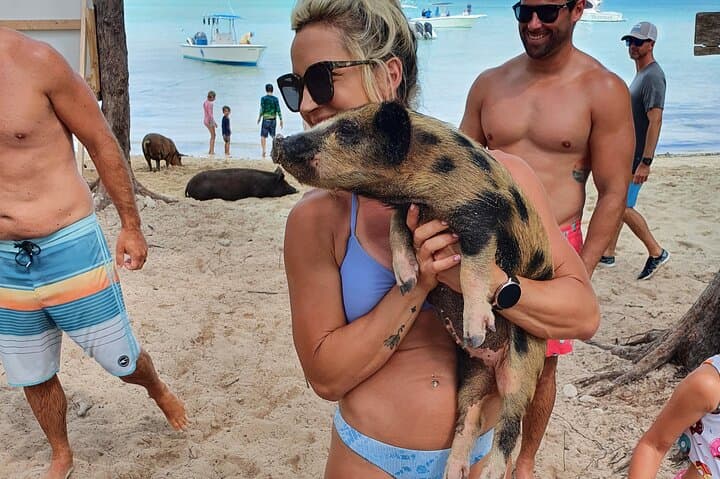 Powerboat Snorkel Tour from Nassau: Swimming Pigs, Turtles & Sandy Cay photo 5
