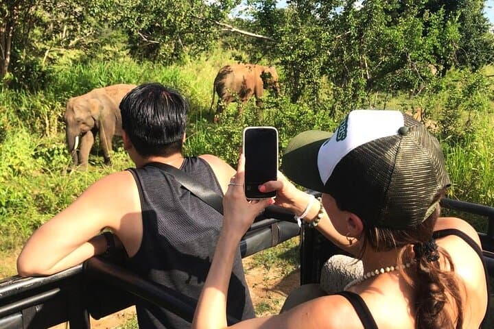 Kandy Day Tour: Sigiriya Rock, Dambulla Cave Temple and Minneriya Safari photo 5