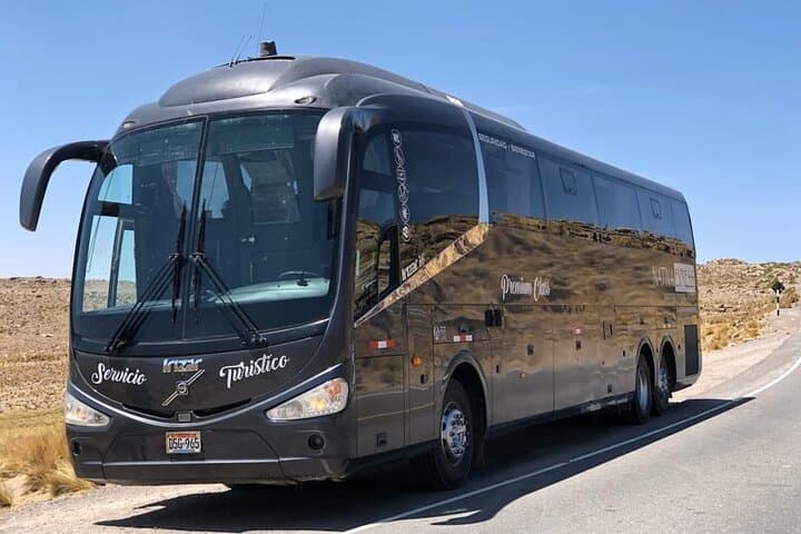 Chivay to Puno: Colca Canyon Scenic Bus Transfer with Wildlife Stops