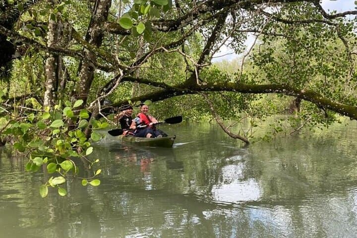 Explore Langkawi Kilim Mangrove: Half-Day Kayak Through Limestone Forests photo 2