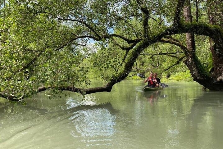 Explore Langkawi Kilim Mangrove: Half-Day Kayak Through Limestone Forests photo 4