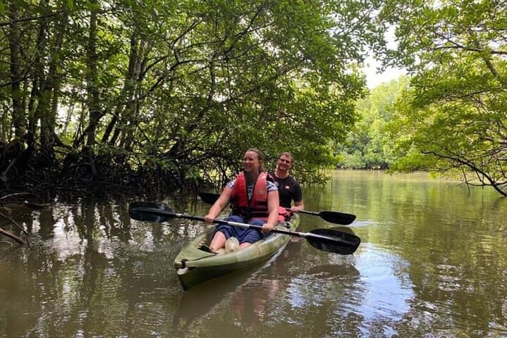 Explore Langkawi Kilim Mangrove: Half-Day Kayak Through Limestone Forests photo 5