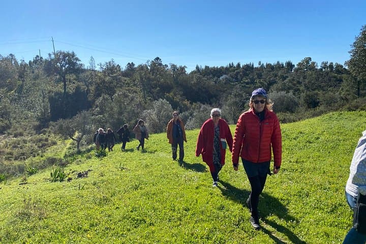 Goat-Herder Walk in the Algarve Hills with Local Honey, Wine & Cheese Tasting photo 2