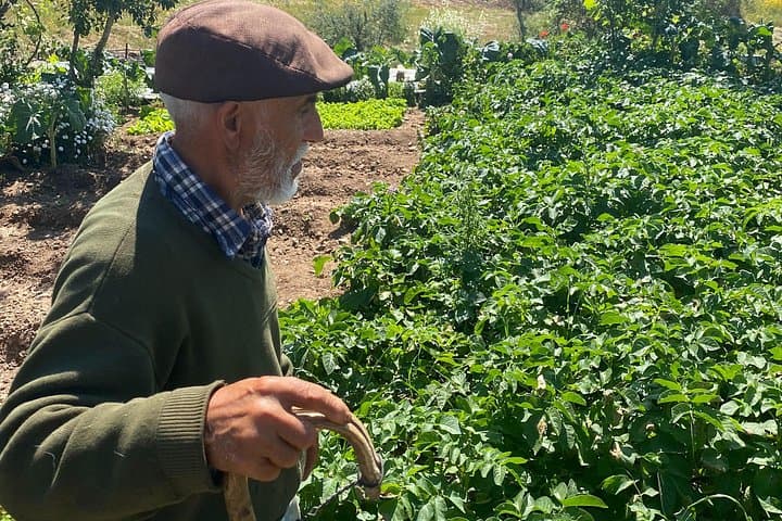 Goat-Herder Walk in the Algarve Hills with Local Honey, Wine & Cheese Tasting photo 3