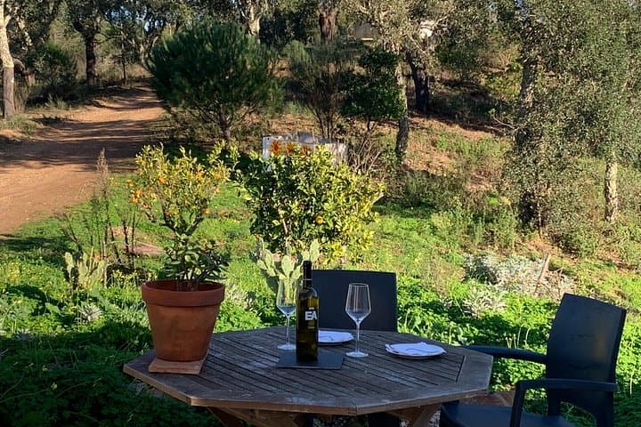 Goat-Herder Walk in the Algarve Hills with Local Honey, Wine & Cheese Tasting photo 4