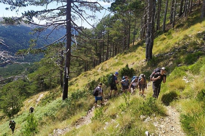 Climb Qorre Peak: Full-Day Hike in Llogara National Park (Albanian Riviera Views)