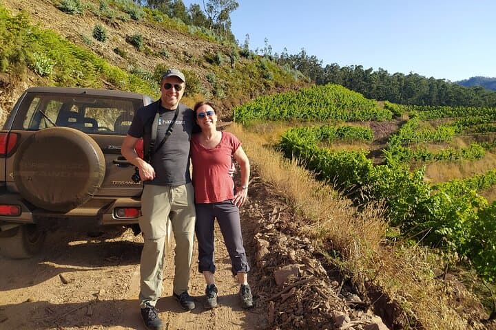 Madeira 4x4 Wine-Fields Half-Day: Estreito de Câmara de Lobos & Skywalk