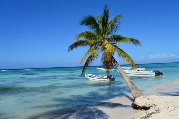 Saona Island Catamaran Cruise from Punta Cana with Natural Pool & Lunch photo 4