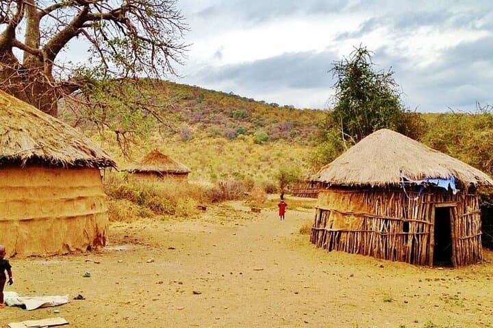Off-the-Beaten-Track Safari from Arusha to Serengeti & Ngorongoro photo 5