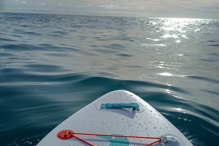 Standup Paddle Through Cinque Terre’s Hidden Coves photo 2
