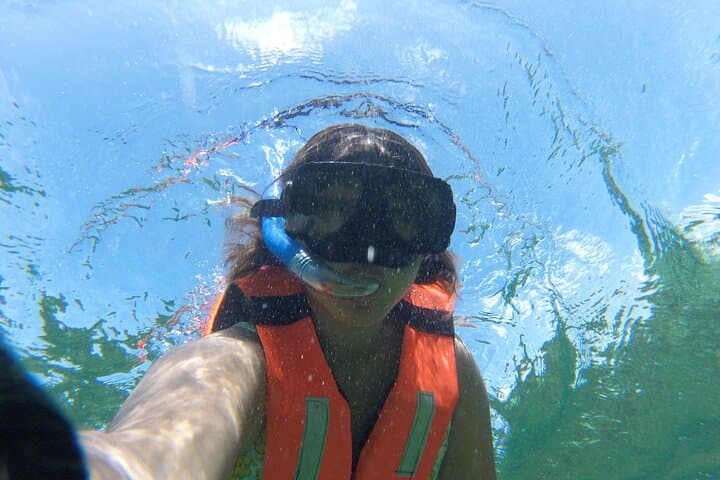 Riviera Maya Snorkeling: Puerto Morelos Boat Trip to the Mesoamerican Reef photo 3