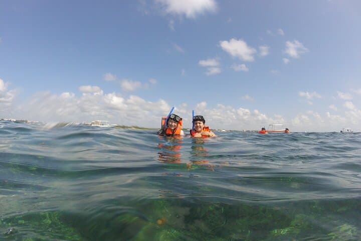 Riviera Maya Snorkeling: Puerto Morelos Boat Trip to the Mesoamerican Reef photo 4