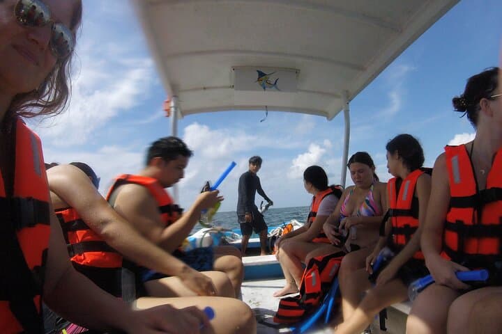 Riviera Maya Snorkeling: Puerto Morelos Boat Trip to the Mesoamerican Reef photo 5