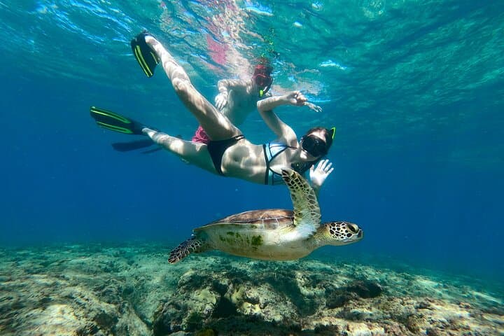 Aguadilla Shore Snorkeling Adventure: Guided Reef Tours & Sea Turtles