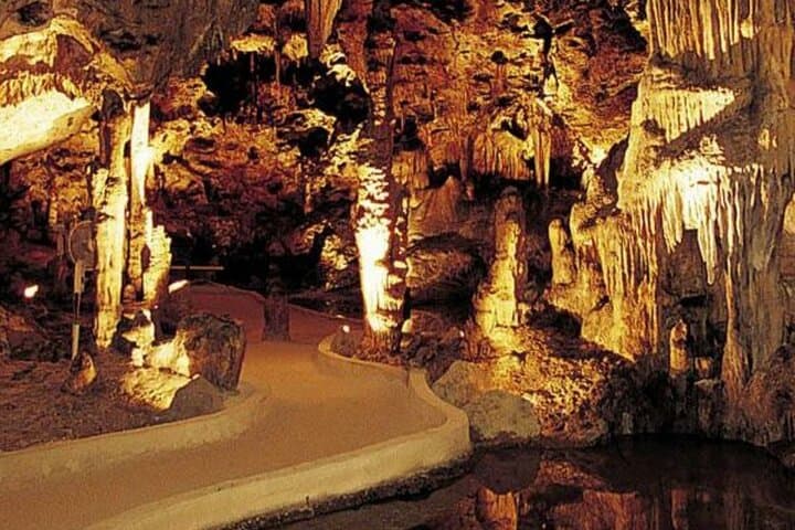 Hato Caves, Flamingos & Kokomo Beach: Half-Day Curaçao Adventure Guide