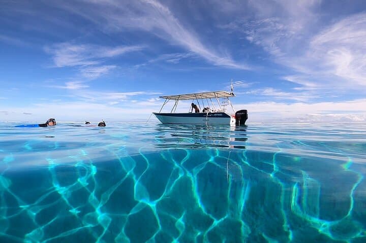 Small-Group Scuba in Paea: Diving Mara'a Lagoon with Mobydick photo 4