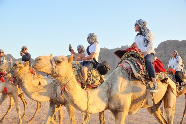 Sharm El Sheikh 5-in-1 Desert Safari: Quad Ride, Camel Experience, Bedouin Dinner & Stargazing photo 3